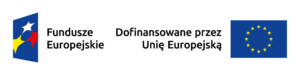 Robotyzacja